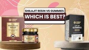 Shilajit Resin vs Gummies