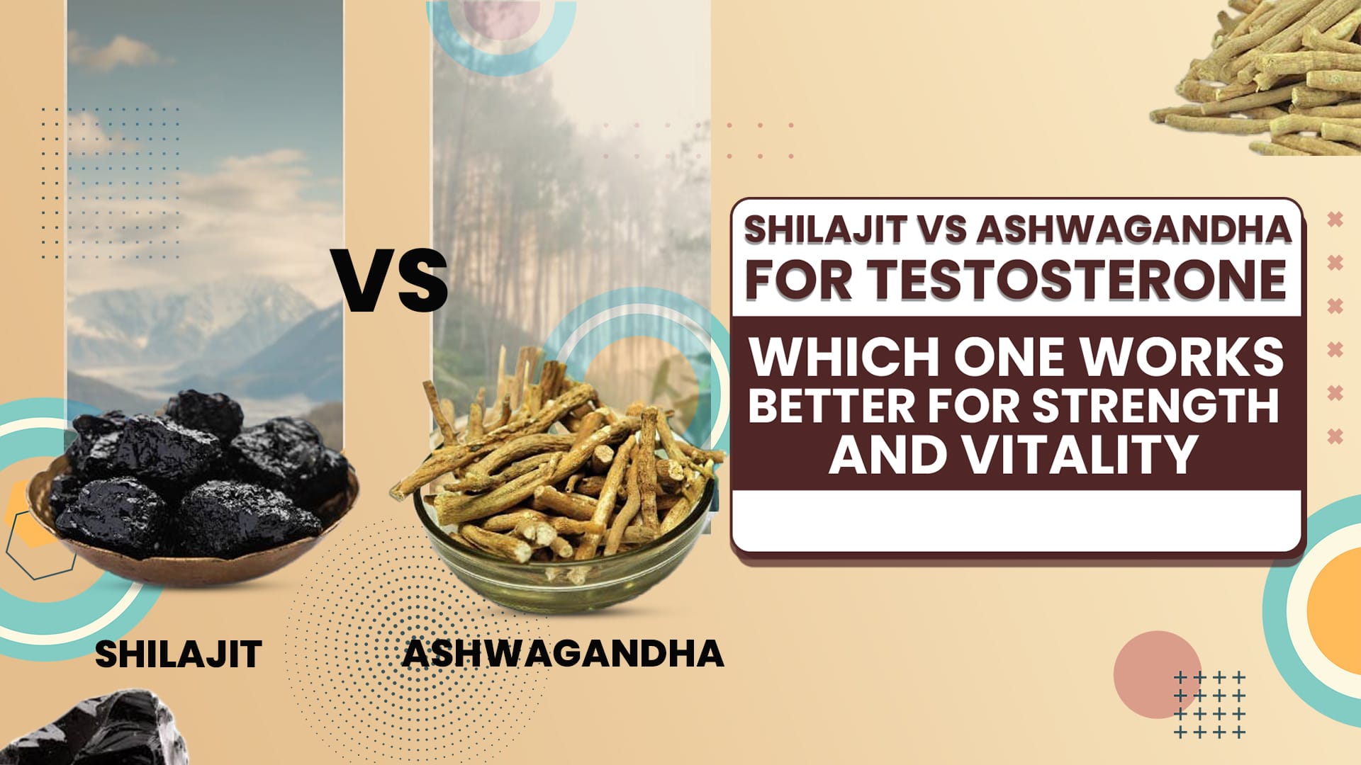Shilajit vs ashwagandha