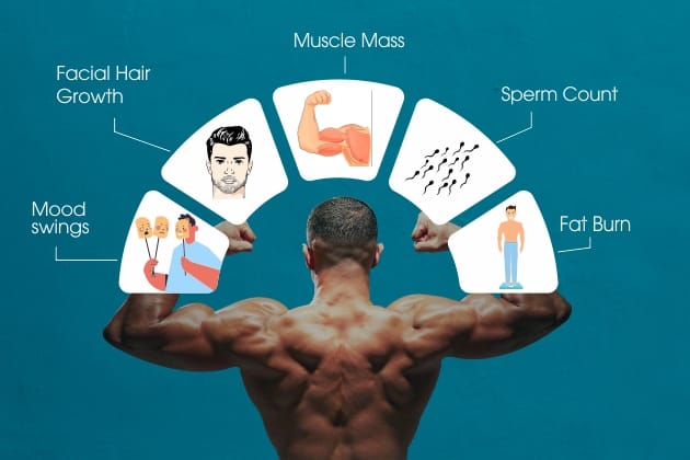 Understanding Testosterone in Men